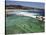 Swimmers Do Laps at Ocean Filled Pools Flanking the Sea at Sydney's Bronte Beach, Australia-Andrew Watson-Stretched Canvas