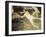 Swimmers, Javea-Joaquín Sorolla y Bastida-Framed Art Print