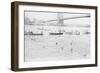 Swimmers Race to Coney Island Just Past the Brooklyn Bridge-null-Framed Art Print