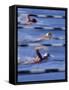 Swimmers Racing-null-Framed Stretched Canvas