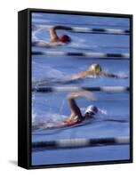 Swimmers Racing-null-Framed Stretched Canvas