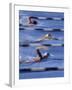 Swimmers Racing-null-Framed Photographic Print