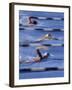 Swimmers Racing-null-Framed Photographic Print