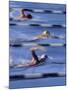 Swimmers Racing-null-Mounted Photographic Print