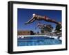 Swimmers Starting a Race-null-Framed Photographic Print