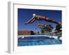 Swimmers Starting a Race-null-Framed Photographic Print