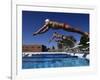 Swimmers Starting a Race-null-Framed Photographic Print