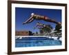 Swimmers Starting a Race-null-Framed Photographic Print