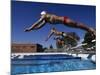 Swimmers Starting a Race-null-Mounted Photographic Print