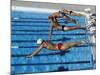 Swimmers Starting a Race-null-Mounted Photographic Print