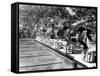 Swimming Competition at Berlin Olympic Games in 1936 : Here Swimmers Diving in Swimmming Pool-null-Framed Stretched Canvas