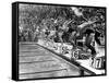 Swimming Competition at Berlin Olympic Games in 1936 : Here Swimmers Diving in Swimmming Pool-null-Framed Stretched Canvas