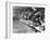 Swimming Competition at Berlin Olympic Games in 1936 : Here Swimmers Diving in Swimmming Pool-null-Framed Photo