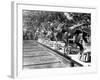 Swimming Competition at Berlin Olympic Games in 1936 : Here Swimmers Diving in Swimmming Pool-null-Framed Photo