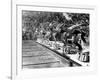 Swimming Competition at Berlin Olympic Games in 1936 : Here Swimmers Diving in Swimmming Pool-null-Framed Photo