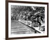 Swimming Competition at Berlin Olympic Games in 1936 : Here Swimmers Diving in Swimmming Pool-null-Framed Photo