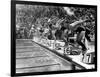 Swimming Competition at Berlin Olympic Games in 1936 : Here Swimmers Diving in Swimmming Pool-null-Framed Photo