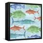 Swimming Fish-Bee Sturgis-Framed Stretched Canvas