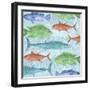 Swimming Fish-Bee Sturgis-Framed Art Print