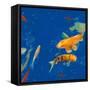 Swimming Lessons I-Alicia Ludwig-Framed Stretched Canvas
