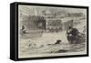 Swimming-Match Between a Dog and a Man-null-Framed Stretched Canvas