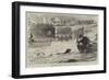 Swimming-Match Between a Dog and a Man-null-Framed Giclee Print