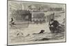 Swimming-Match Between a Dog and a Man-null-Mounted Giclee Print