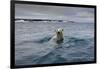 Swimming Polar Bear at Half Moon Island in Svalbard-Paul Souders-Framed Photographic Print