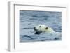 Swimming Polar Bear, Hudson Bay, Nunavut, Canada-Paul Souders-Framed Photographic Print