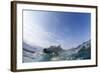 Swimming Polar Bear, Hudson Bay, Nunavut, Canada-Paul Souders-Framed Photographic Print