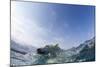 Swimming Polar Bear, Hudson Bay, Nunavut, Canada-Paul Souders-Mounted Photographic Print