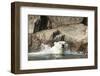 Swimming Polar Bear, Hudson Bay, Nunavut, Canada-Paul Souders-Framed Photographic Print