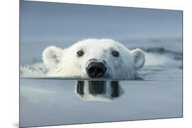 Swimming Polar Bear, Hudson Bay, Nunavut, Canada-Paul Souders-Mounted Photographic Print