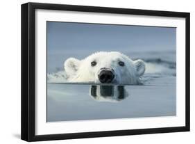 Swimming Polar Bear, Hudson Bay, Nunavut, Canada-Paul Souders-Framed Photographic Print