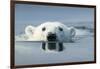 Swimming Polar Bear, Hudson Bay, Nunavut, Canada-Paul Souders-Framed Photographic Print