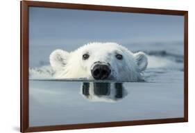 Swimming Polar Bear, Hudson Bay, Nunavut, Canada-Paul Souders-Framed Photographic Print