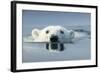 Swimming Polar Bear, Hudson Bay, Nunavut, Canada-Paul Souders-Framed Photographic Print