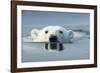 Swimming Polar Bear, Hudson Bay, Nunavut, Canada-Paul Souders-Framed Photographic Print