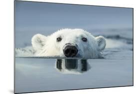 Swimming Polar Bear, Hudson Bay, Nunavut, Canada-Paul Souders-Mounted Photographic Print