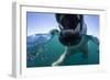 Swimming Polar Bear, Hudson Bay, Nunavut, Canada-Paul Souders-Framed Photographic Print