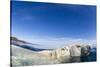 Swimming Polar Bear, Nunavut, Canada-Paul Souders-Stretched Canvas