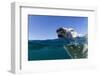 Swimming Polar Bear, Nunavut, Canada-Paul Souders-Framed Photographic Print