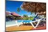 Swimming Pool in the Tropical Hotel-haveseen-Mounted Photographic Print