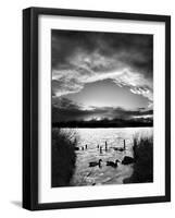 Swimming Pool-Martin Henson-Framed Premium Photographic Print