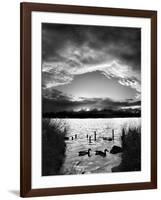 Swimming Pool-Martin Henson-Framed Photographic Print