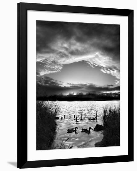 Swimming Pool-Martin Henson-Framed Photographic Print