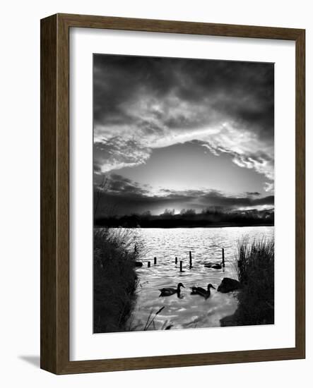 Swimming Pool-Martin Henson-Framed Photographic Print