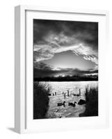 Swimming Pool-Martin Henson-Framed Photographic Print