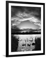 Swimming Pool-Martin Henson-Framed Photographic Print