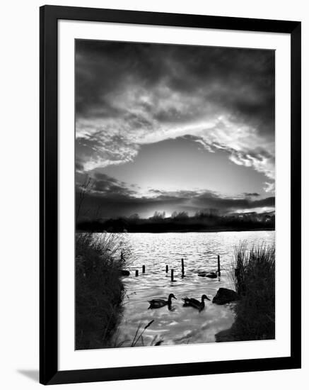 Swimming Pool-Martin Henson-Framed Photographic Print